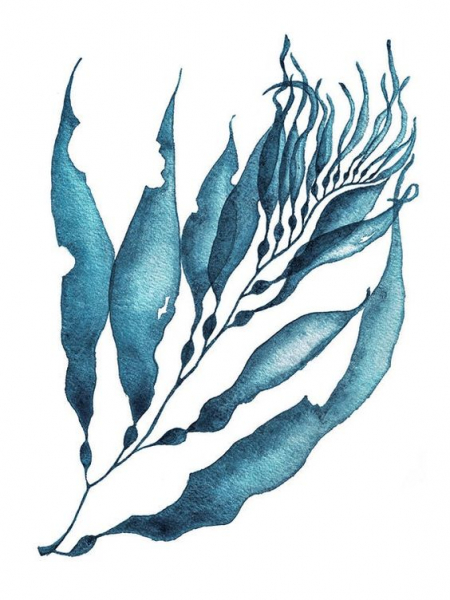 Как наносить альгинатные маски самостоятельно и не потонуть на этом? Как нанести альгинатную маску самостоятельно и не утонуть?