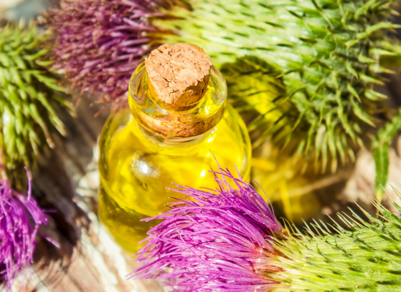 Как остановить выпадение волос и укрепить волосы в домашних условиях? Что вы хотите узнать?