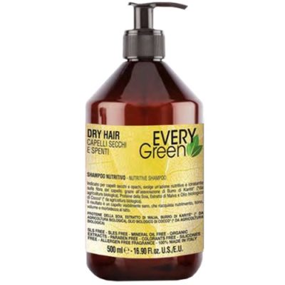 Шампунь для сухих волос Dry Hair Shampoo Nutriente Every Green DIKSON
