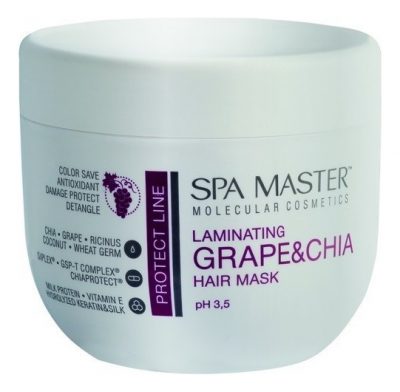 Ламинирующая маска для защиты цвета волос Laminating Hair Mask SPA MASTER PROFESSIONAL