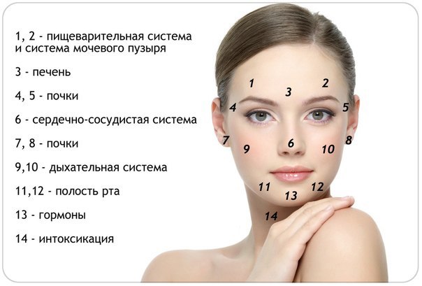 За какие органы обеспечиваются прыщи на лице